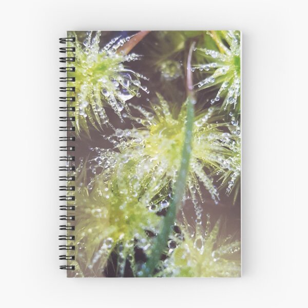 Item preview, Dewy Moss designed and sold by JulieMoss.