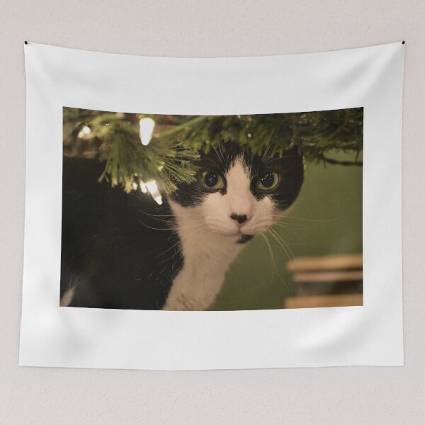 Item preview, Kitty sees Santa Paws designed and sold by DonnaM.