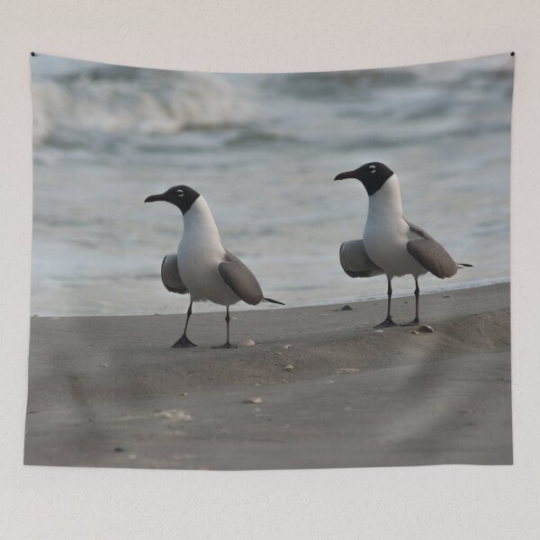 Item preview, Laughing gull designed and sold by KensLensDesigns.