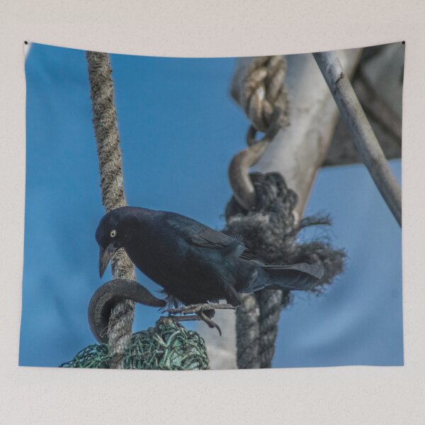 Item preview, Boat-tailed designed and sold by KensLensDesigns.