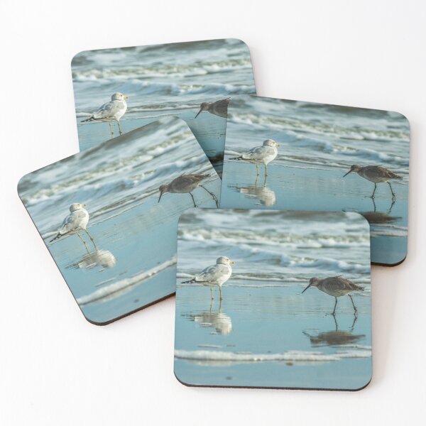 Item preview, Wilson's snipe and Ring-billed gull scapes designed and sold by KensLensDesigns.