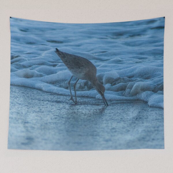 Item preview, wilsons snipe, designed and sold by KensLensDesigns.