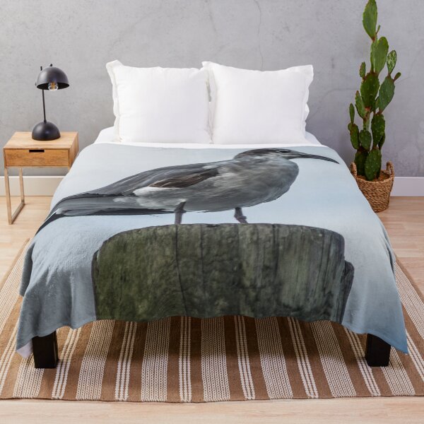 Item preview, California Gull designed and sold by KensLensDesigns.