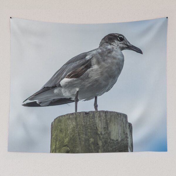 Item preview, California Gull designed and sold by KensLensDesigns.