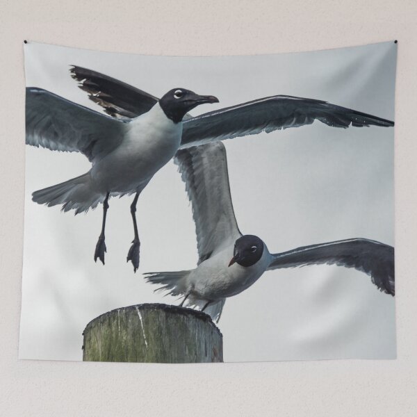 Item preview, laughing Gull designed and sold by KensLensDesigns.