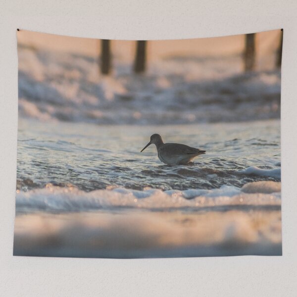 Item preview,  Wilson's snipe sea 2 designed and sold by KensLensDesigns.