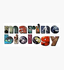 Marine Biology Photographic Print