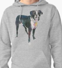 Rocky Pullover Hoodie