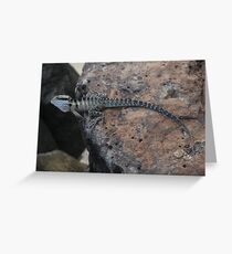 Sea Dragon Greeting Card