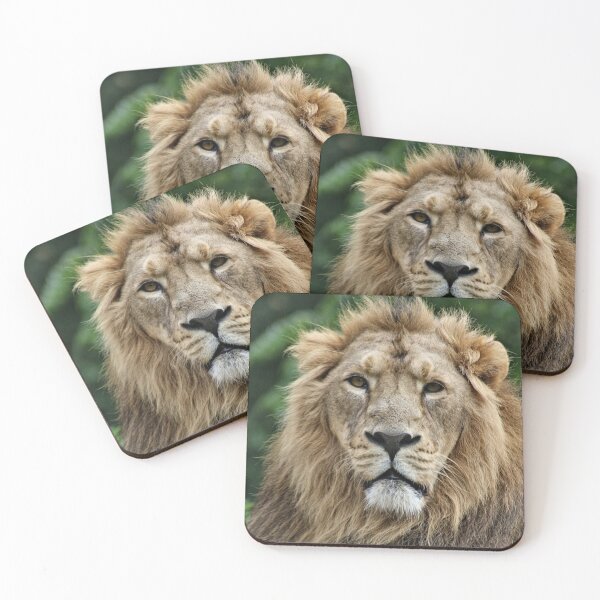 Item preview, Leo Stare designed and sold by Yampimon.