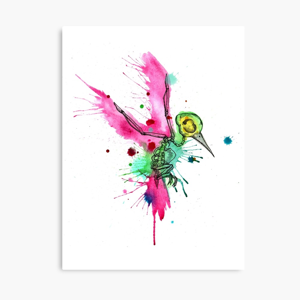 Hummingbird Skeleton Watercolor/Pen&Ink" Photographic Print By Lvbart | Redbubble