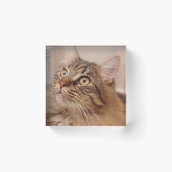 Item preview, Portrait of Bastian designed and sold by AlysiaMcC13.