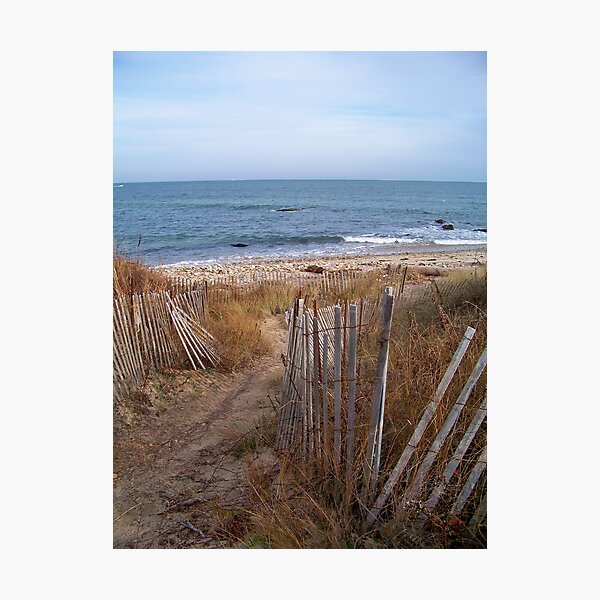 Artikelvorschau, Winter Beach entworfen und verkauft von Dandelion Dilluvio.