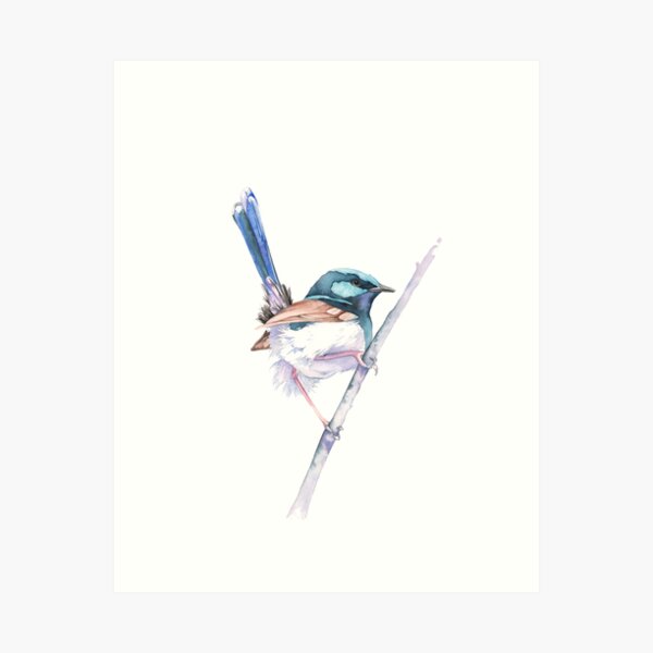 Item preview, Superb Fairy Wren designed and sold by Louise De Masi.