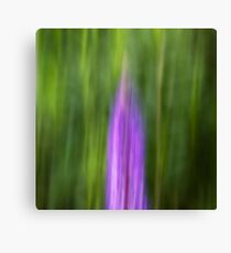 Lupin Canvas Print