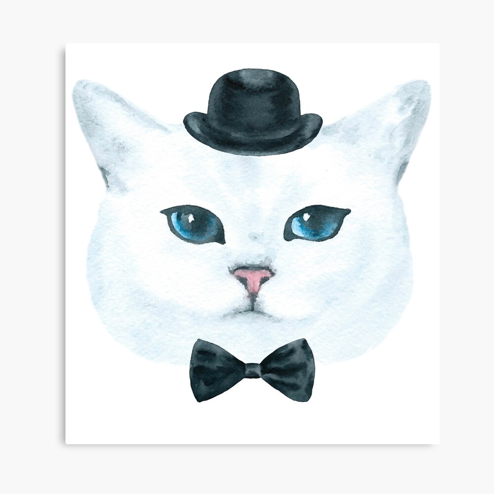 cat dickie bow