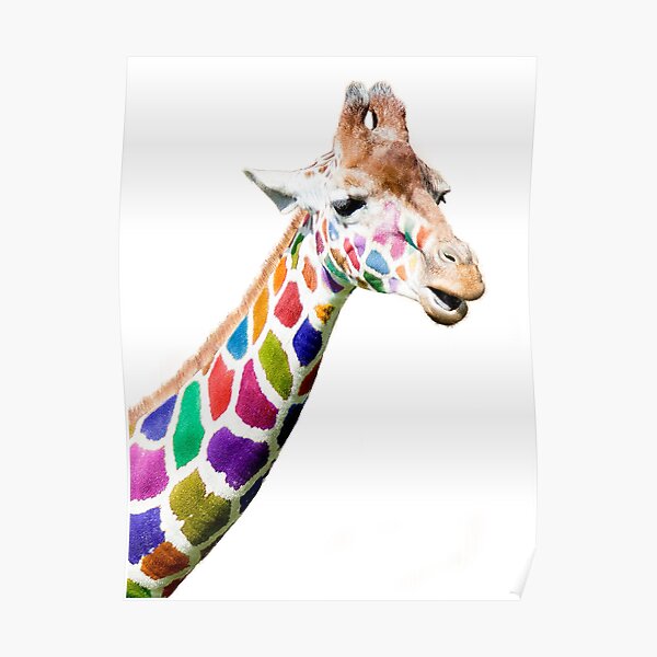 Colourful Giraffe Poster