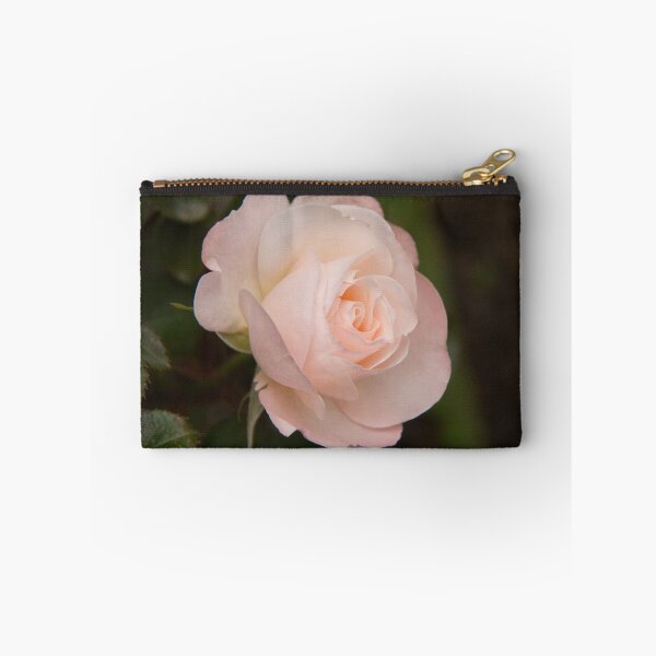 Artikelvorschau, A New Zealand Rose entworfen und verkauft von Robert Kelch, M.D..