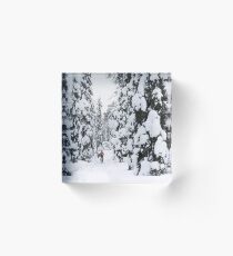 Winter Fat Bike Trail Acrylic Block