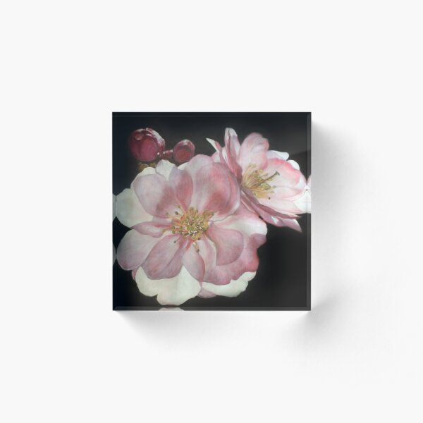 Romantic Roses Acrylic Block