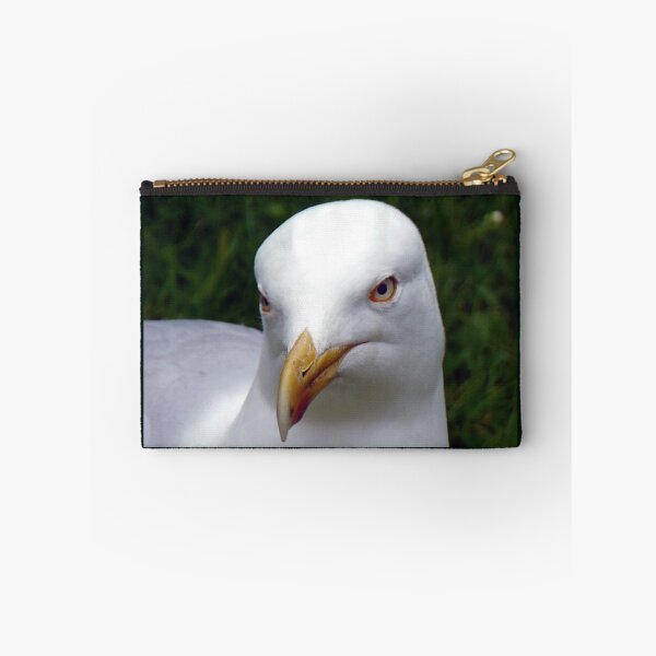 Item preview, Are You Looking At Me.............. designed and sold by lynn carter.