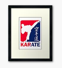 Karate Framed Print