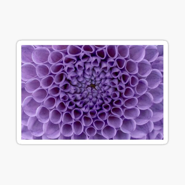 Item preview, Violet dahlia designed and sold by Karima Deiss.