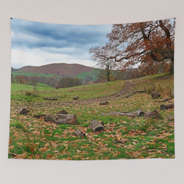 Item preview, Logs in a field in Yorkshire, England designed and sold by Matt's Photography.