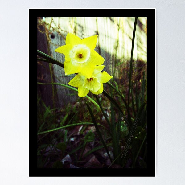 Item preview, Ol' Daffodil Me. designed and sold by TwistedHearts.