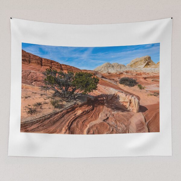 Item preview, Bonzai at White Pocket designed and sold by photosbyflood.