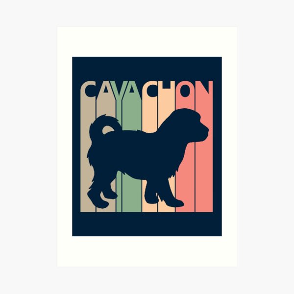 Cavachon Art Prints | Redbubble