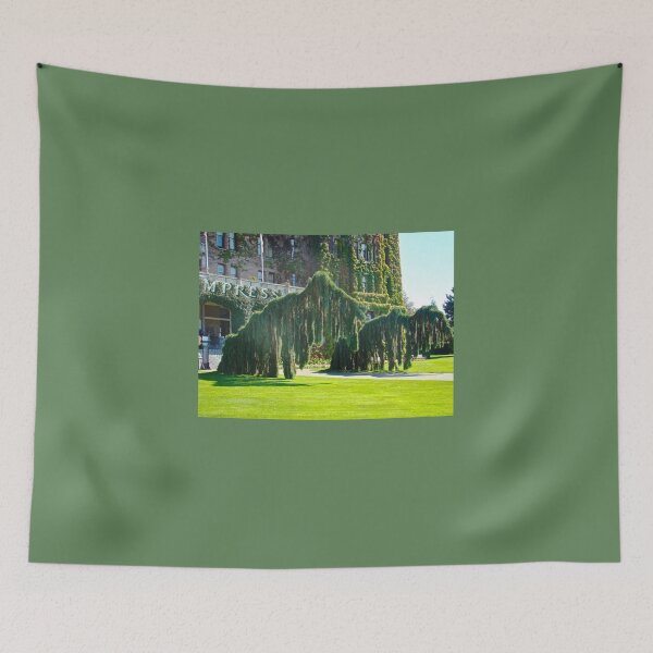 Item preview, Dinosaurs or Interesting Trees? designed and sold by 2CrabbySisters.