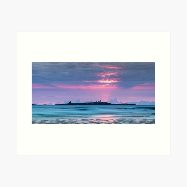 Day Break on the Farne Islands Art Print