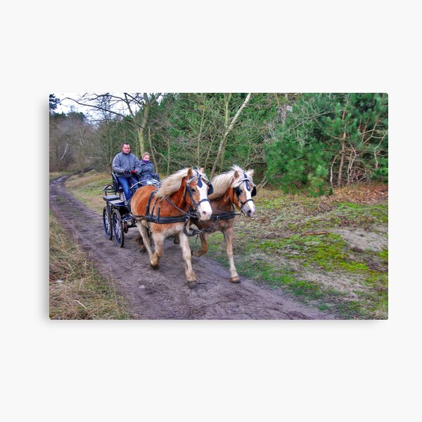 A forest ride Canvas Print