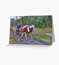 A forest ride Greeting Card