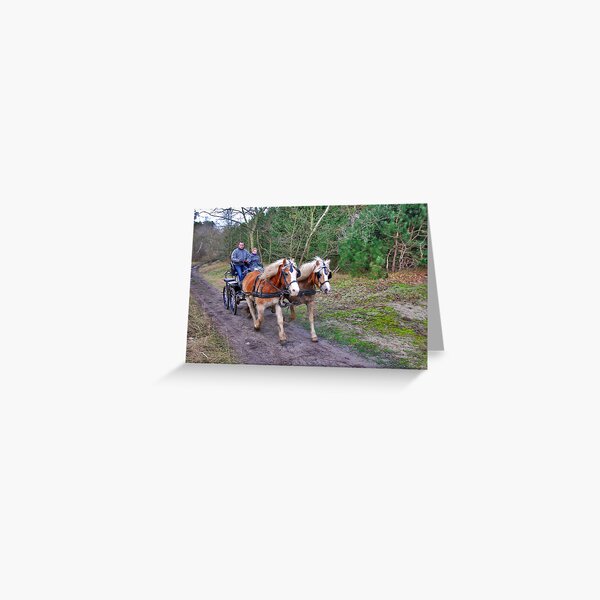 A forest ride Greeting Card