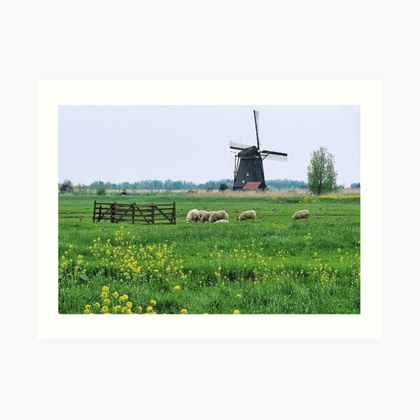 Green green grass of home........ Art Print