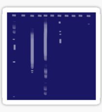 PCR GEL Sticker