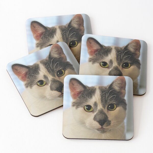 Item preview, I am adorable! designed and sold by Frankie Cat Photography.