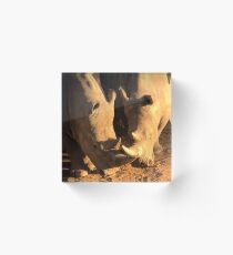 White Rhino Acrylic Block