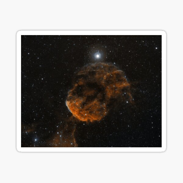 jelly fish Nebula Sticker