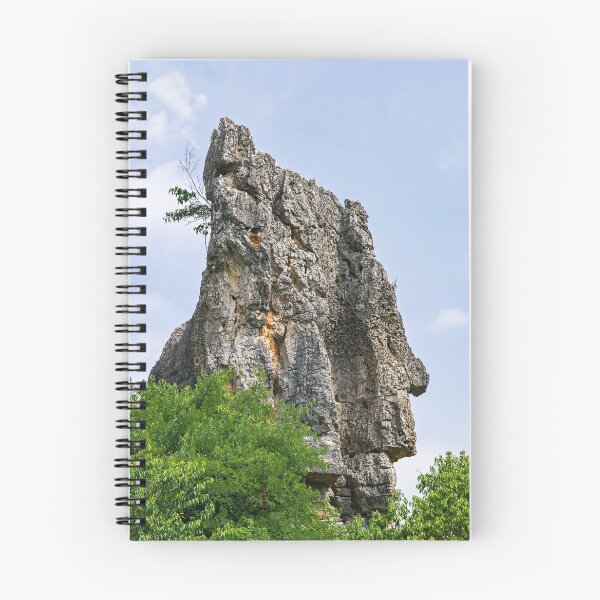Item preview, Shilin Stone Forest - Yunnan designed and sold by Ulysse Pixel.