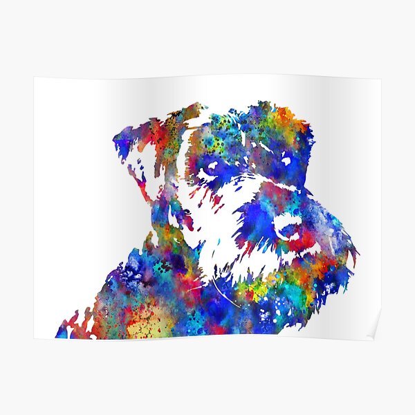 Miniature schnauzer, Schnauzer, watercolor Miniature Schnauzer Poster