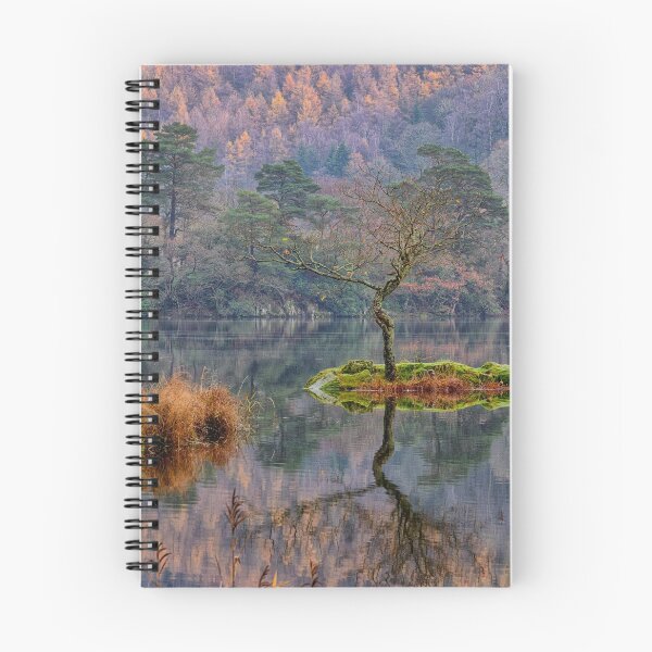 Item preview, Rydalwater Tree designed and sold by FyldePhotos.