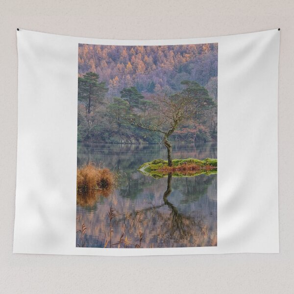 Item preview, Rydalwater Tree designed and sold by FyldePhotos.