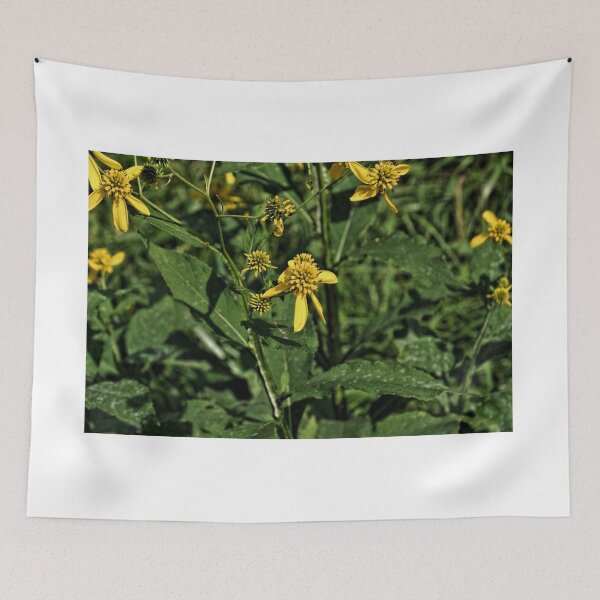 Item preview, Yellow Wildflowers In Cades Cove - Great Smoky Mountain National Park designed and sold by jtrommer.