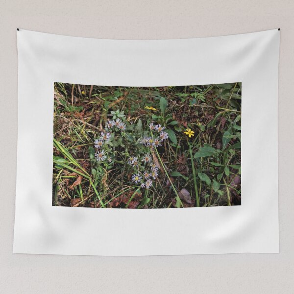 Item preview, Wild Aster And Coreopsis In Florida designed and sold by jtrommer.