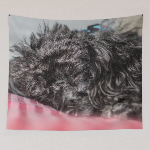 Item preview, Toy poodles designed and sold by KensLensDesigns.