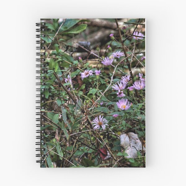 Item preview, Wild Asters In Florida 2 designed and sold by jtrommer.