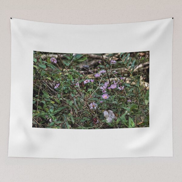 Item preview, Wild Asters In Florida 2 designed and sold by jtrommer.